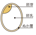 米の栄養成分