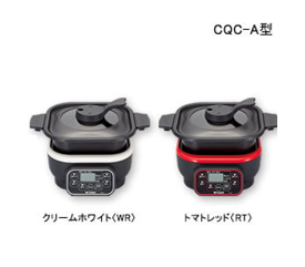 Discontinued Products for Micro Computer Table Cookers - Tiger 